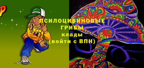 мдпв Арсеньев
