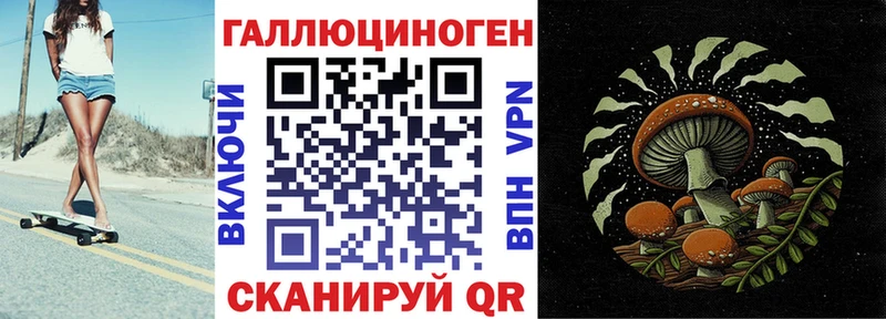 Галлюциногенные грибы Magic Shrooms  hydra зеркало  Гремячинск  где можно купить  